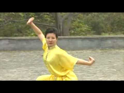 Wushu Chu Ji Chang Quan   初级长拳