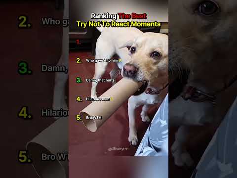 Ranking The Best Try Not To React Moments #shortvideos #funny