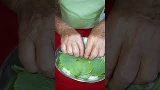 LAMBEDOR DE MALVA-SANTA. #shortvideo #shortsvideo #shorts #short #shortsfeed