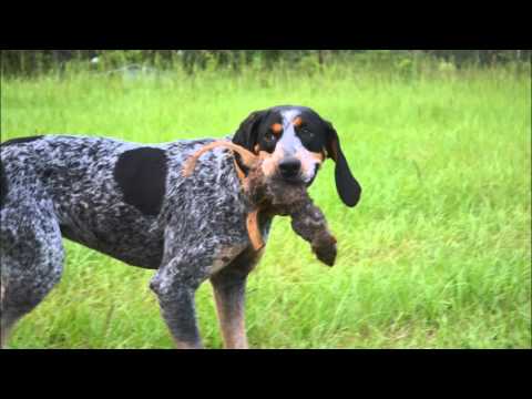 Keith Austin .........Everybody Got Sumthin