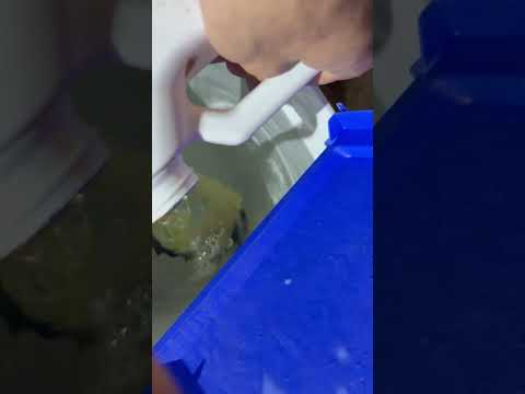 Video Thumbnail Video Thumbnail