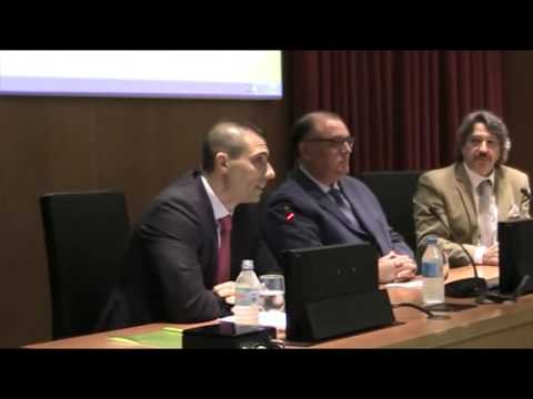 "La crisis de la representación política en la actualidad".