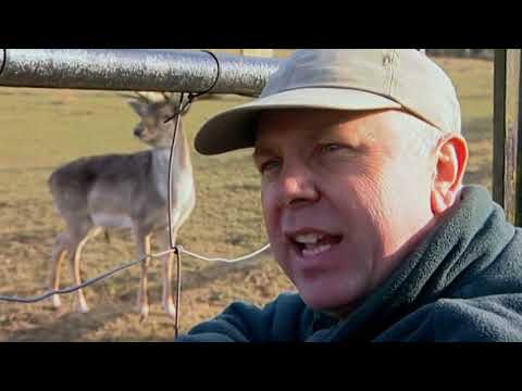 Animal Park: Season 6 Episode 14 (Wildlife Documentary) | Full Documentary
