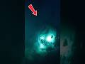 Why Did THE MOSASAURUS Leave The INDOMINUS REX INTACT