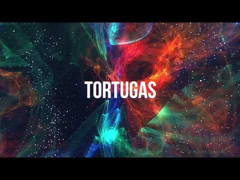 Teaser - 03 Tortugas - Himnos para los desaparecidos - [sholl]