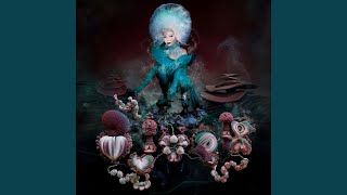 Fungal City Lyrics English Translation