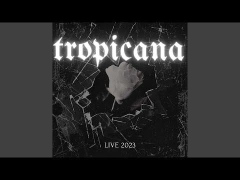 belle fete live 2023 (Live)