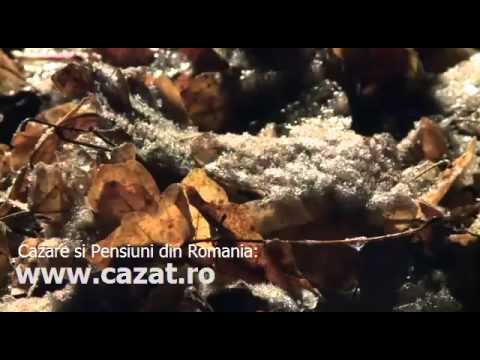 Cazare Horezu, Valcea - Cazat.ro