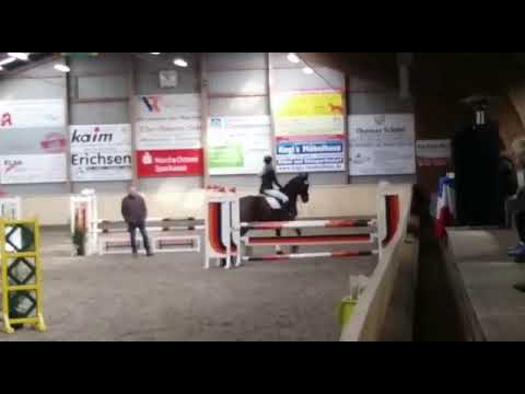 Dakota 2018 5ter Platz im Springpferde A* in Leck