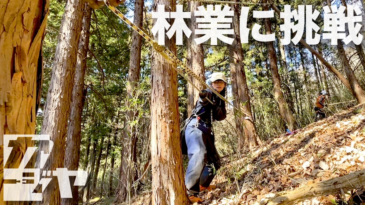 夫婦林業 始めました