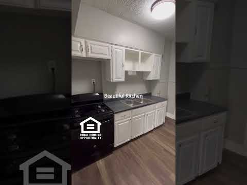 1409 West Woodlawn Avenue - Video 2 of 2