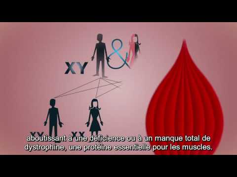 Introduction à la myopathie de Duchenne