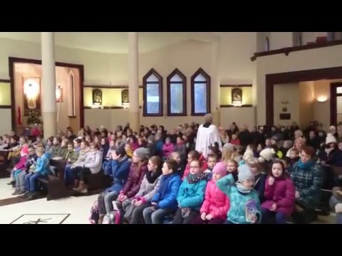 Roraty 2015 - film nr 7