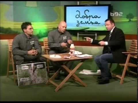 BASF vremenska prognoza za 17.02.2013.