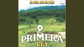 Se Supone song artwork