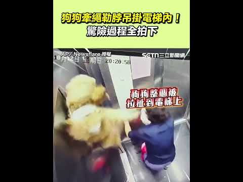 狗狗牽繩勒脖吊掛電梯內！驚險過程全拍下｜三立新聞網 SETN.com