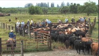 Florida Crackers (2010) Video