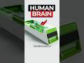 Scientists Create World's First Living Computer