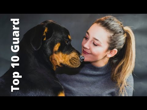 Top 10 Guard Dogs In The World