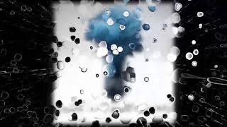 From Canvas to Cosmos: The Creative Journey of Gregory Copploe &amp; Dani Forrest