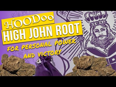 FAMOUS HOODOO High John the Conqueror Root: Use High John for Power! | Yeyeo Botanica
