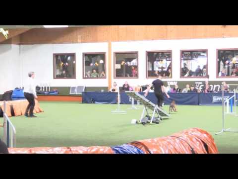 Gucci Agility WM Quali 3 19 16