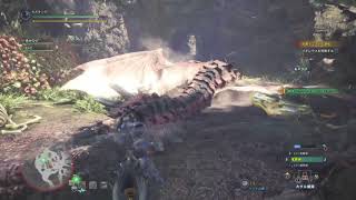 Monster Hunter: World™*