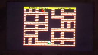 Snake escape gameplay on the spectrum it’s a fun game #thespectrum #zxspectrum #retrogaming