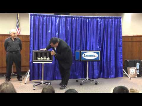 Magic by Leonardo - 4 doves to a giant rabbit!