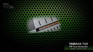 Video thumbnail for Yamaha TQ-5 Factory Presets Demo by wolfgang S vukan