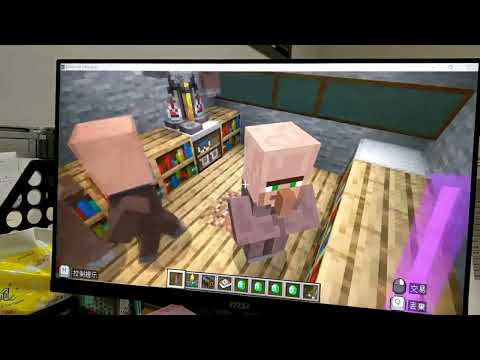 建國國小麥塊SDGs聯合國永續發展目標莊O羽-麥塊SDGs程式競賽-113學年第一學期