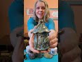 Annie's Top 5 Glazes on Chocolate Clay Presented by Delighted Owl Pottery