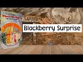 Winnie The Pooh Blackberry Surprise Mouse Works 1994 Kids Book Read Aloud