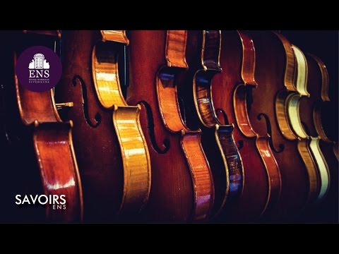 Évaluation de la qualité du violon : cohérence des jugements et préférences des musiciens