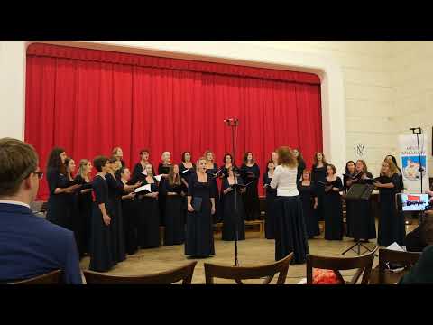 Vox Novus - Zazpívaj slavíčku