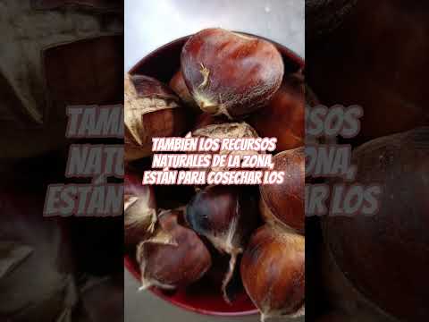 🍁otoño 🏞️ Lago Puelo Chubut 🇦🇷 #argentina #2026 #cheflife #chubut