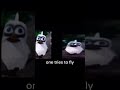 Two birds on a wire meme sped up #edit #memes #funny #twobirdsonawire #meme #viral #makethisgoviral
