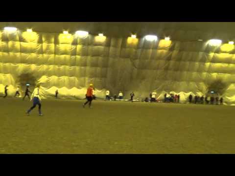 PALLOKISSAT N2 SIPS VASEN