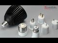 Hive - Bumble Bulb Par30