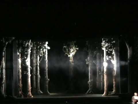 C'era una volta cantata da Geppetto (Pierpaolo Lopatriello) - Pinocchio il Grande Musical