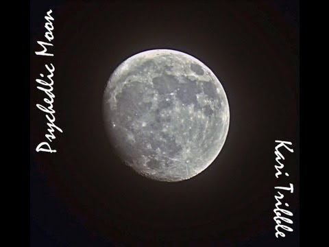 Psychedelic Moon by Kari Tribble