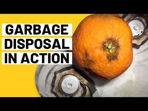 Inside a Garbage Disposal - Close Up!