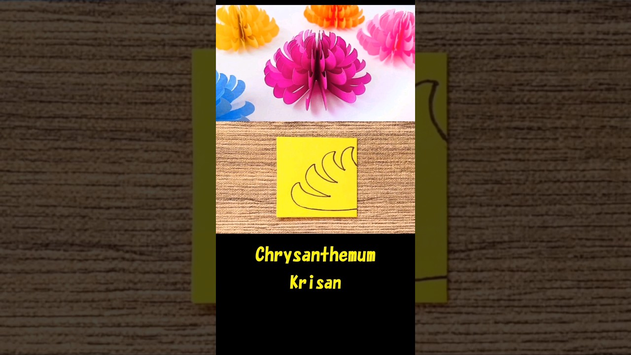 Chrysanthemum. How to make paper flowers. #shorts #Paperflowers #papercraft #chrysanthemumflower