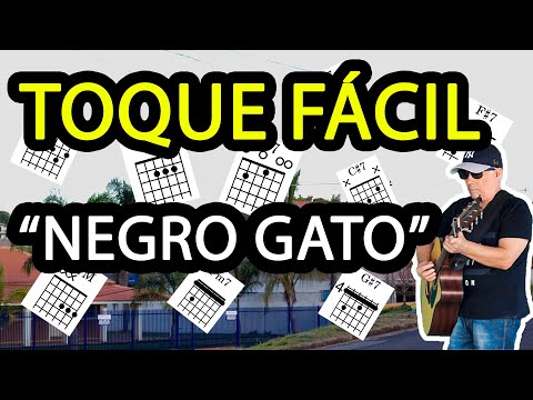 Eu Faço Qualquer Coisa - Gato Negro