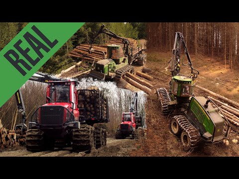 XXL Logging with JOHN DEERE 1270G and 4 Forwarders! 🌲 [HD]