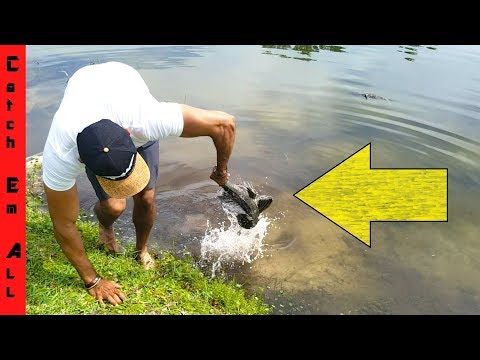 FISH MAKES PEOPLE PUKE when CAUGHT BY HAND!