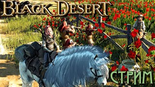 Black Desert Online №2 - стрим-посиделки в очень красивой игре | осваиваюсь