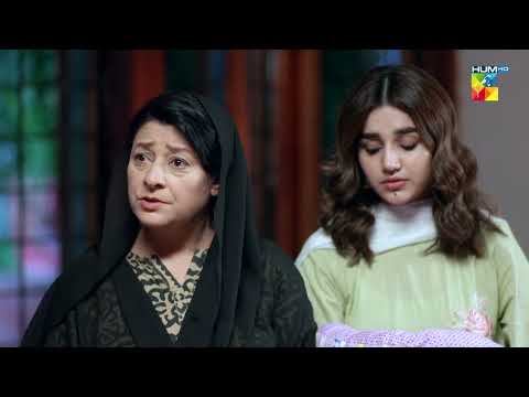 Beqadar - Episode 15 - Best Scene 10 - HUM TV