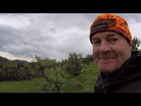 Wairarapa Hunting Trip 2016