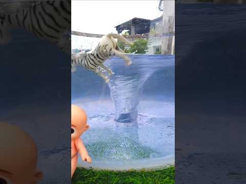 aquarium Vortex 🌪️ 🌪️ Vs lots of things 🦓🦓. whirlpool. vortex.